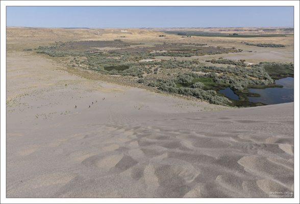 Дюны Брюно уникальны для Западного полушария.
Все прочие дюны в Америке формируются на краях естественных бассейнов,
а дюны Брюно образовались ближе к центру.