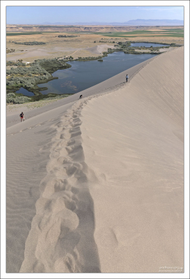 Маленькое озеро (это не характеристика, а название собственное - Small lake) у подножия дюны Брюно.