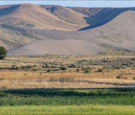 Государственный парк Bruneau Sand Dunes State Park основан в 1970-м году.