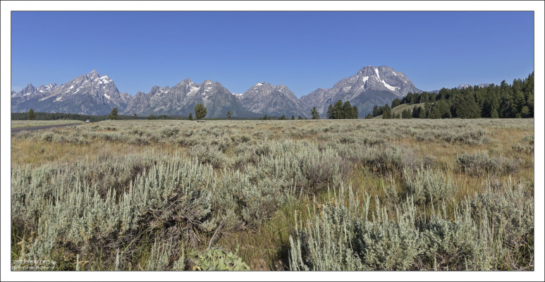 Willow Flats - Ивовая равнина с зарослями полыни на подъезде к Гранд-Титону.