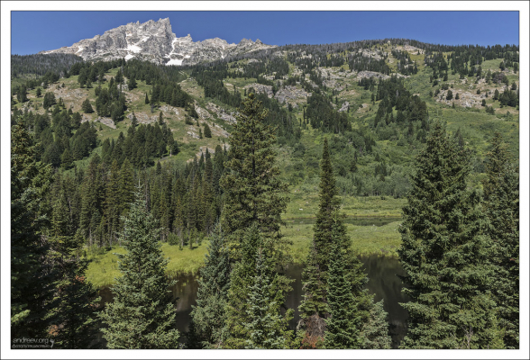 Тропа вокруг пруда Moose pond.