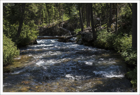 Cascade creek - Каскадный ручей, длиной 13 км, впадает в озеро Дженни.