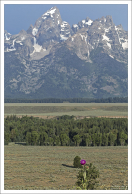 В горном хребте Титон имеется 10 вершин с высотой более 3700 метров.