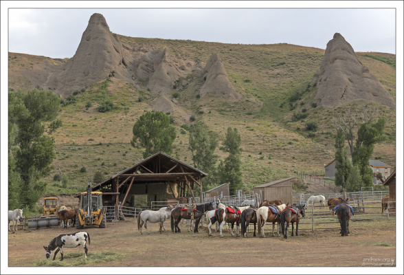 На ранчо в долине Horse Creek Valley.