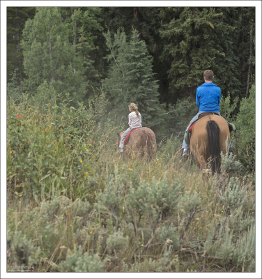 В лесу Бриджер-Титон на западе штата Вайоминг, США.