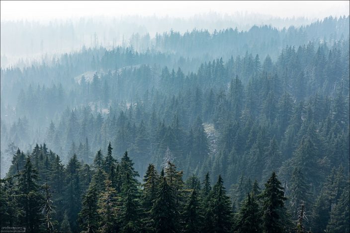 Парк Crater Lake был основан в 1902 году, и стал пятым национальным парком в США.