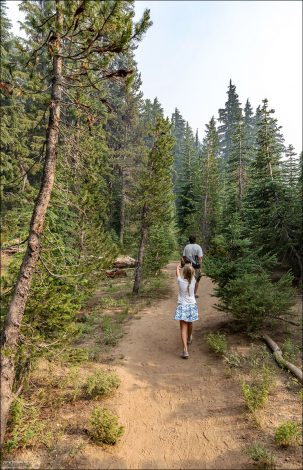 На тропе Castle Crest Wildflower Trail.