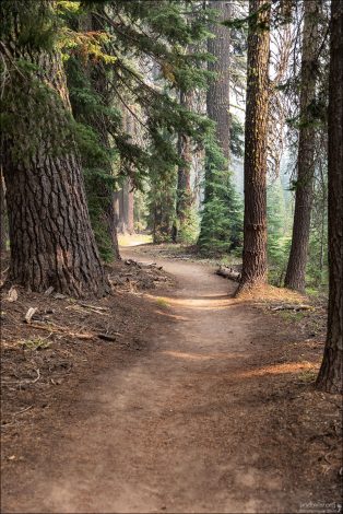 Этой тропе через парк почти 100 лет.