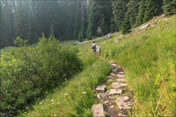 Тропинка из камня через заболоченную часть луга.