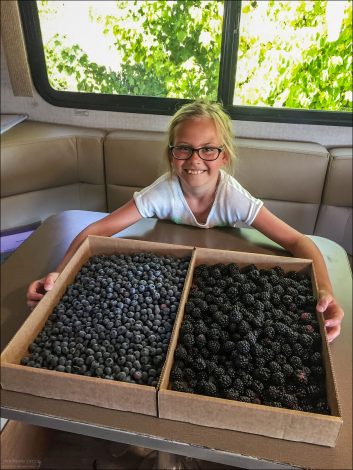 Саша с честно собранным урожаем :)