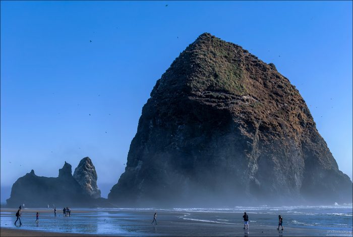 Утес Haystack Rock - место гнездовья морских птиц, особенно топорков "с бровями" (Tufted puffins).