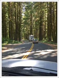 Начало пробки на въезд в национальный парк Olympic National Park.