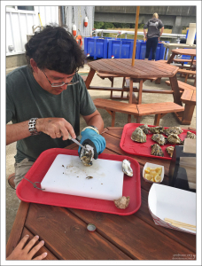 Дегустация на устричной ферме Goose Point.