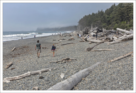 Пляж Риальто (Rialto beach) — общественный пляж, расположенный на берегу Тихого океана в штате Вашингтон.