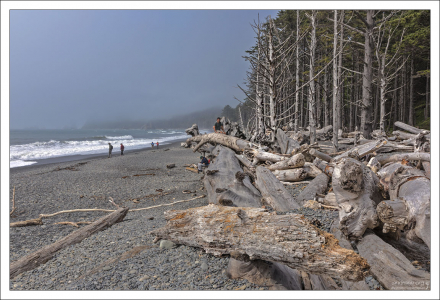Пляж был назван «Риальто» известным фокусником Клодом Александром Конленом в честь сети театров Риальто.