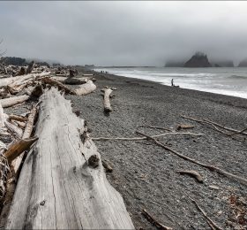 Принесенные штормами стволы деревьев на пляже Rialto beach.