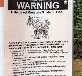 Зона обитания снежных коз в национальном парке Olympic National Park.