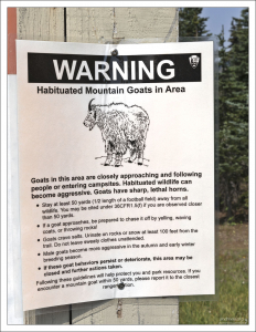 Зона обитания снежных коз в национальном парке Olympic National Park.