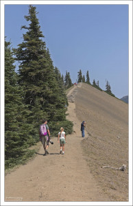 На тропе Hurricane Hill в национальном парке Олимпик.