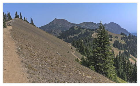 Горный гребень Hurricane Ridge, высота 1598 метров.