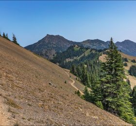 Горный гребень Hurricane Ridge, высота 1598 метров.