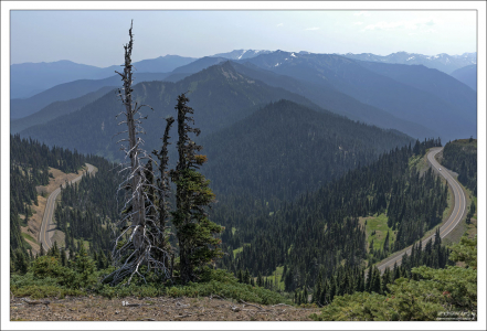 Дорога Hurricane Ridge Road была построена в 1950-х,
с целью привлечения посетителей в национальный парк Олимпик.