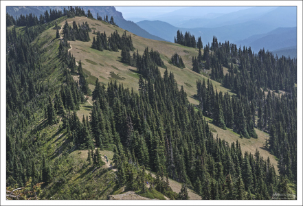 Урганный хребет (Hurricane Ridge) назван в честь сильных ветров,
характерных для данной местности.