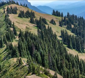Урганный хребет (Hurricane Ridge) назван в честь сильных ветров,
характерных для данной местности.