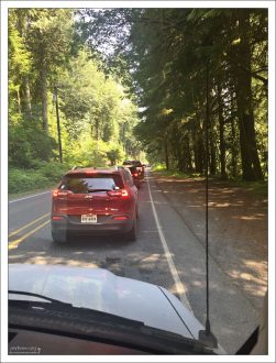 Очередь на въезд в парк.