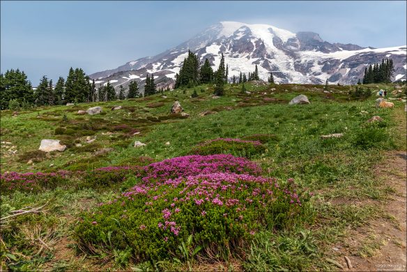 Panorama Point trail к горе Рейнир.