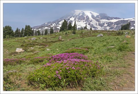 Panorama Point trail к горе Рейнир.