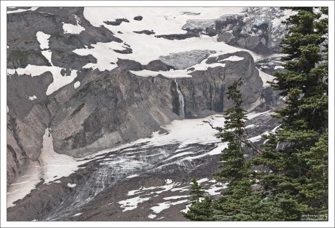 Ледник Нисквалли (Nisqually Glacier).