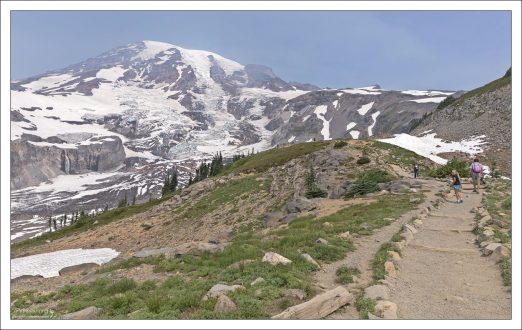 Тропа Panorama Point Trail, длиной 4 км, относится к категории "средней тяжести".