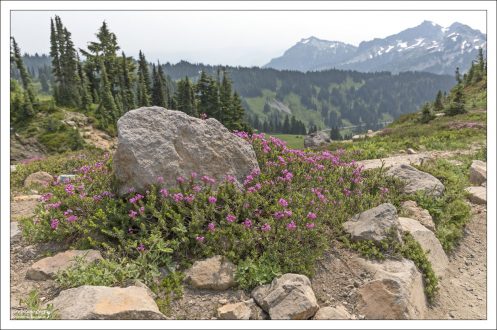 Наиболее популярным объектом посещения парка является район, известный как Парадайз (Рай).
