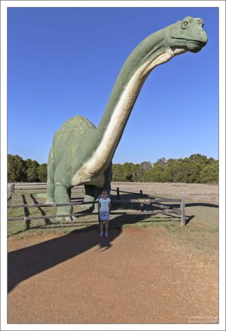 Апатозавры жили во времена позднеюрской эпохи (примерно 150 млн. лет назад)
на территории современной Северной Америки.