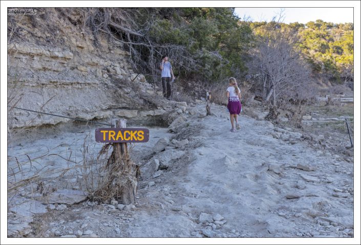 Территория парка Долина динозавтров образована осадочными породами, преимущественно включающими известняки, песчаники и аргиллиты.
Эти слоистые формирования размываются водами реки Пэлюкси,
иногда открывая древние следы, оставшиеся от живших тогда животных.