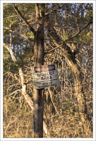 Знак, предупреждающий о возможном появлении Бигфута (он же - сасквоч).
Это локальный (североамериканский) вариант снежного человека.