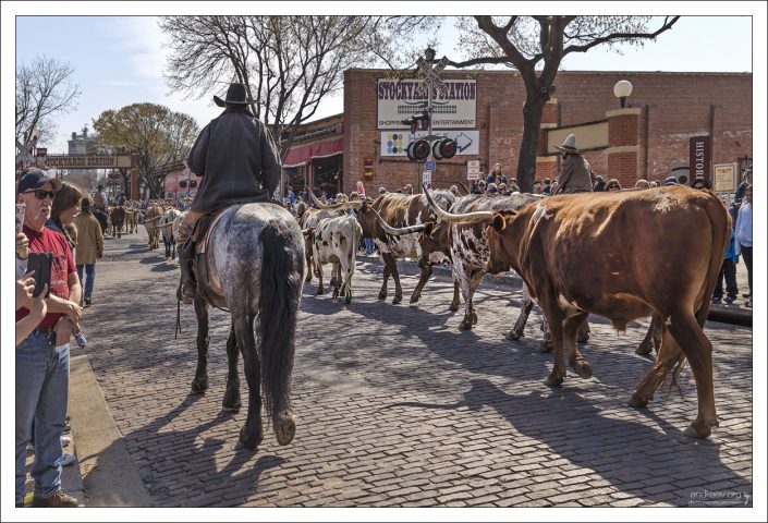 Погоны обычно начинали по весне, когда всходила трава, а завершали до начала первых холодов на севере.