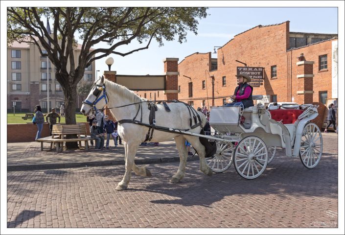 Белая лошадь везет белую карету.