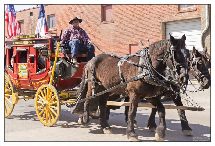 По Форт-Стоктону катают всех желающих в каретах.