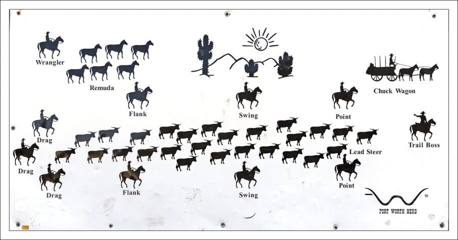 Схема перегона скота.