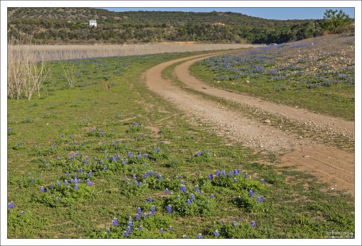 Изгибы среди холмов на территории Muleshoe Bend Recreation Area.
