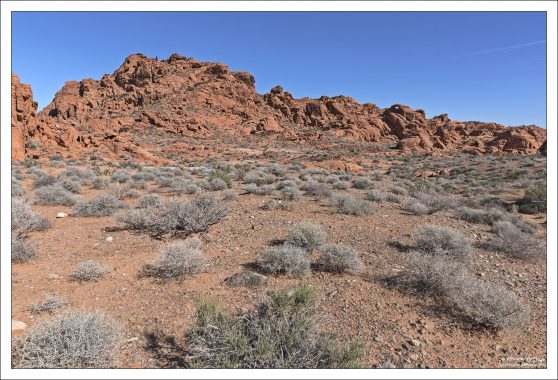 Пустыня Мохаве (Mojave Desert) в штате Невада.