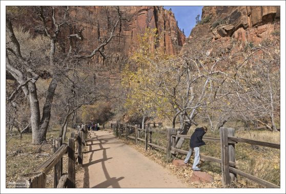 Начало тропы Riverside walk (3,5 km).