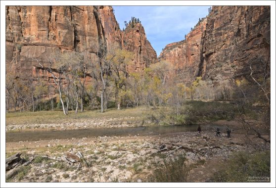 Вдоль реки Virgin River, притока реки Колорадо.