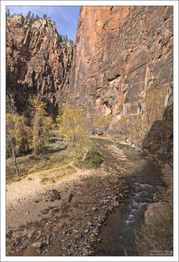 Каньон, вымытый рекой Вирджин, в песчаниках Навахо,
окрашенных в рыжий и бронзовый цвет.