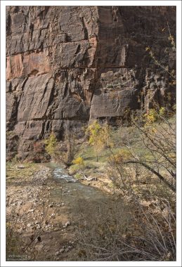 Возраст пород, из которых состоит каньон в парке Зайон,
оценивается в 150 млн лет.