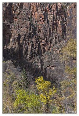 Контраст яркой листвы с приглушенным цветом скал.