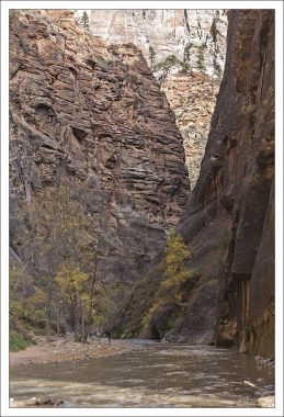 Каньон вдоль тропы Riverside trail постепенно сужается,
справа уже отвесная стена.