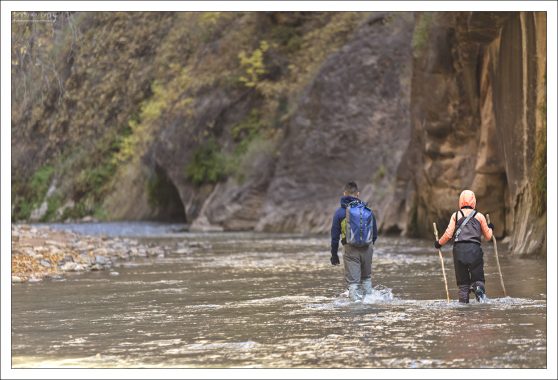 Начало тропы The Narrows, большая часть которой проходит по воде.